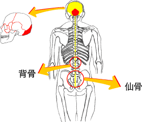 脳脊髄液イメージ